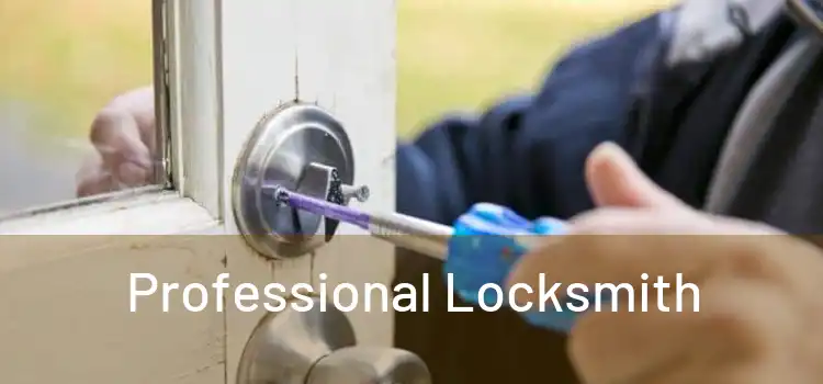  Professional Locksmith 